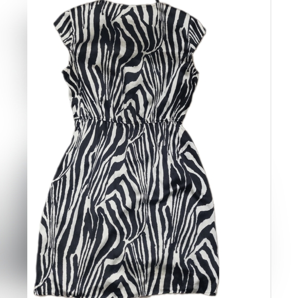 NWOT H&M SILKY DRESS ZEBRA STRIPE FULL ZIP FRONT CLOSURE CAP SLEEVE EMPIRE WAIST - Picture 3 of 7